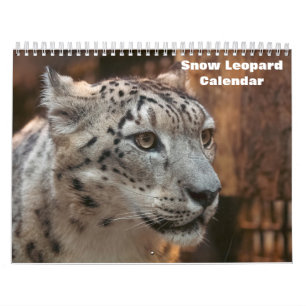 2025 års kalender för leopard i Snö