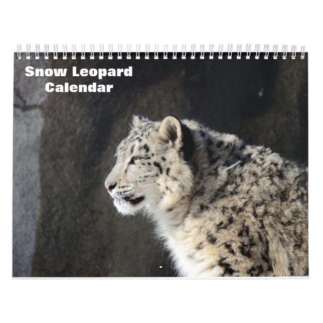 2025 års kalender för leopard i Snö (Omslag)