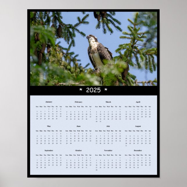 2025 års kalender för Osprey Wall Poster (Framsidan)
