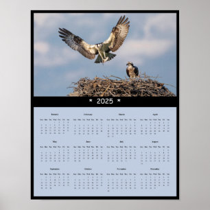 2025 års kalender för Osprey Wall Poster