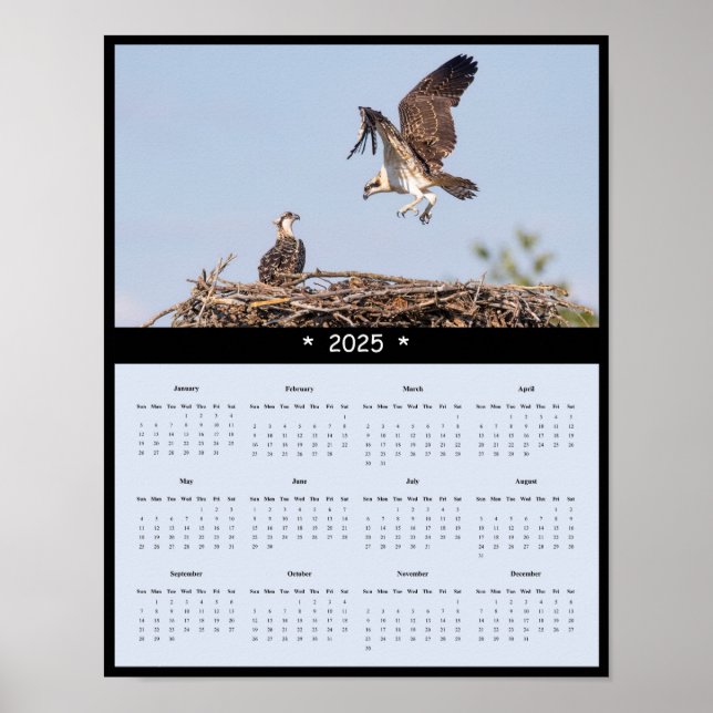 2025 års kalender för Osprey Wall Poster (Framsidan)