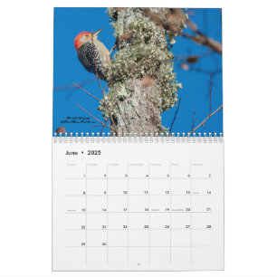 2025 års kalender för träpålning