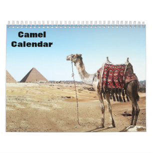 2025 års kalender i kameran