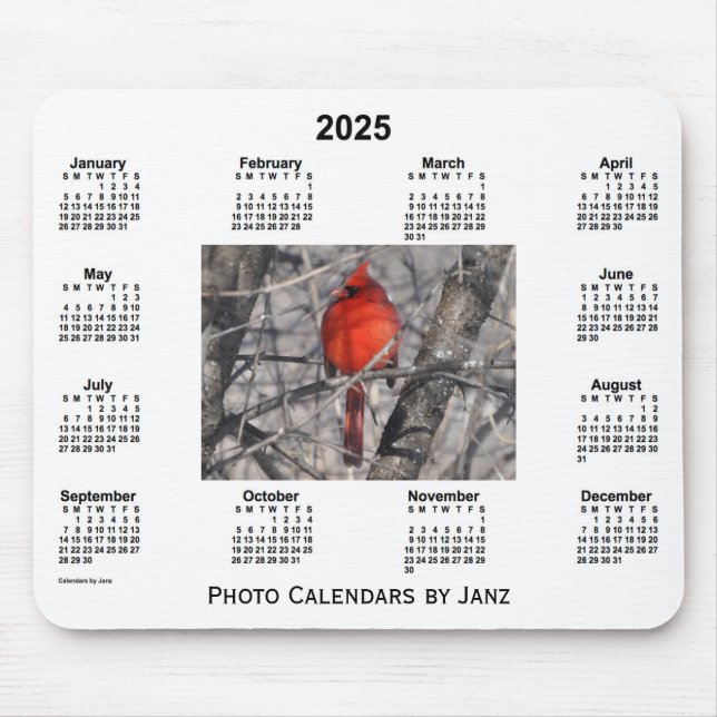 2025 års kardinalfotokalender från Janz Musmatta (Framsidan)