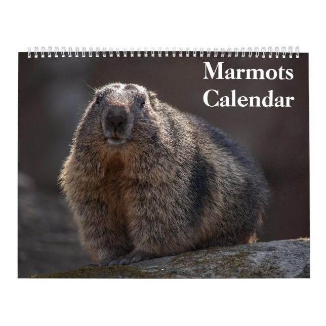2025 års Marmots-kalender Kalender (Omslag)