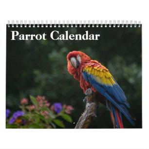 2025 års Parrot-kalender Kalender