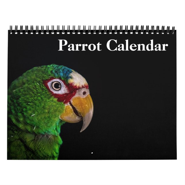 2025 års Parrot-kalender Kalender (Omslag)