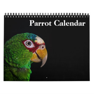 2025 års Parrot-kalender Kalender