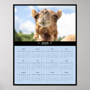 2025 års Poster av kameralskalender