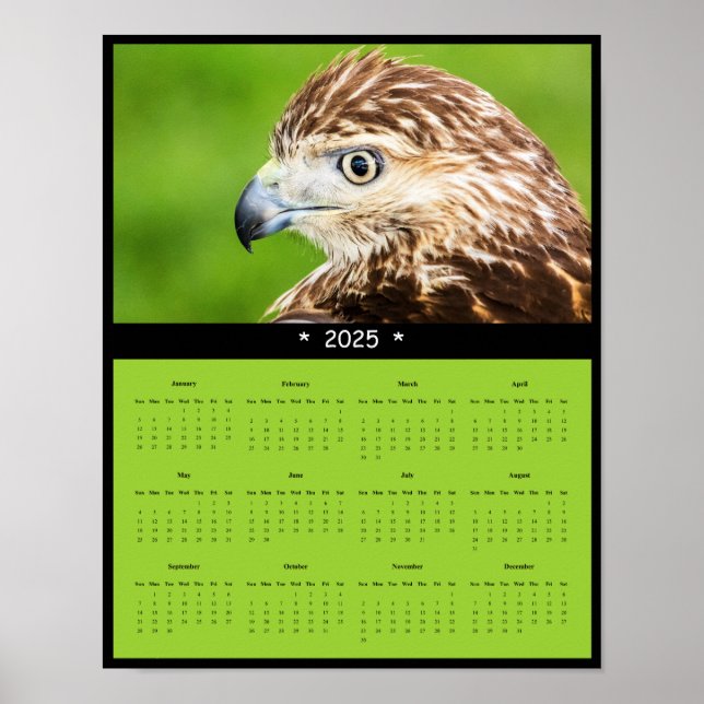 2025 års Poster av Red-Tails Hawk Wall Calendar (Framsidan)