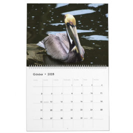 2025 års Tropiska kalender, hönsfåglar i Paradise Kalender