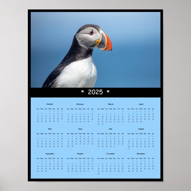 2025 Atlantisk puffin i Maine Wall Calendar Poster (Framsidan)
