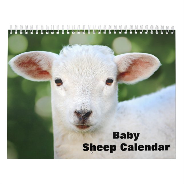 2025 Baby får Lamb Kalender (Omslag)