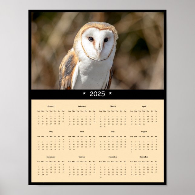 2025 Barn Uggla Wall Calendar Poster (Framsidan)