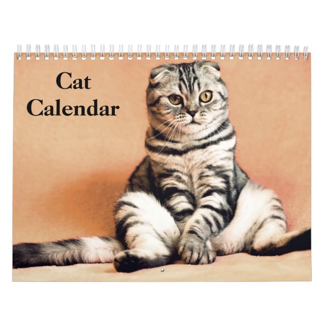 2025 Bengalkatt Kalender (Omslag)