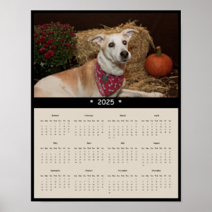 2025-Blandrasens väggkalender Poster