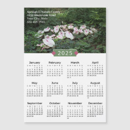 2025 Caladium Photograph Promo Magnet