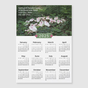 2025 Caladium Photograph Promo Magnet
