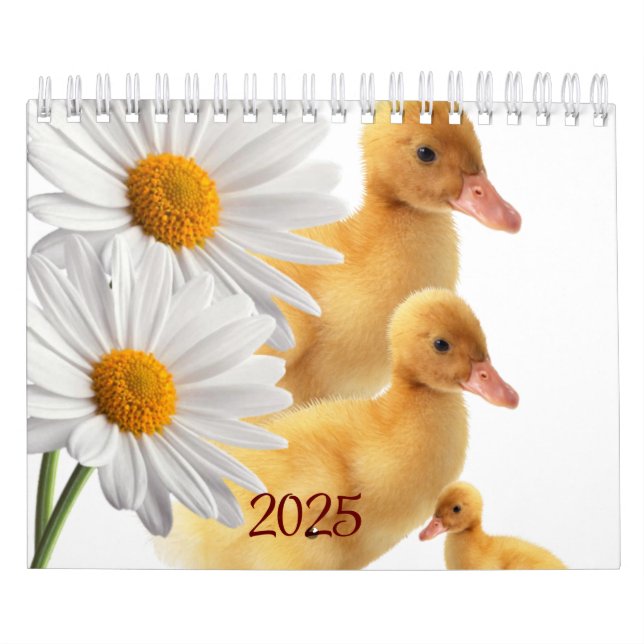 2025 Calendar Ankor Daisy Blommigt Kalender (Omslag)