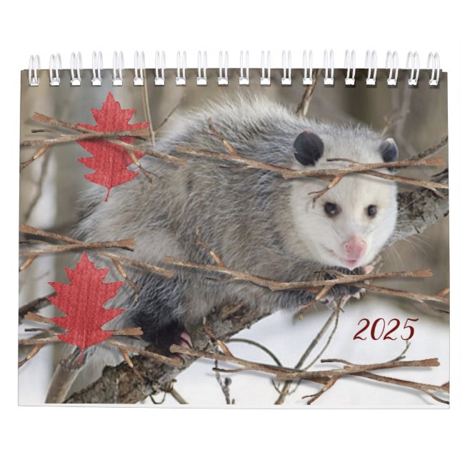 2025 Calendar Opossum Nature Wildlife Kalender (Baksida)