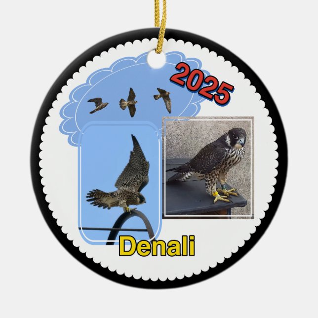 2025 Ceramic Circle Ornament Denali (Framsidan)