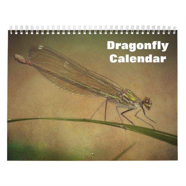 2025 Dragonfly Kalender (Omslag)