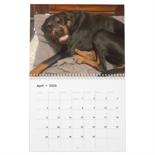 2025 DT-kalender Kalender (Apr 2026)