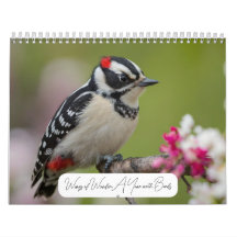 2025 - ett år med foto av modern Anpassningsbar fö