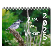 2025 Fåglar i Vermont Calendar