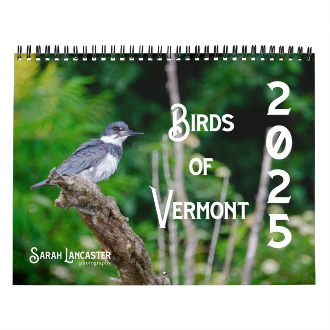 2025 Fåglar i Vermont Calendar Kalender (Omslag)