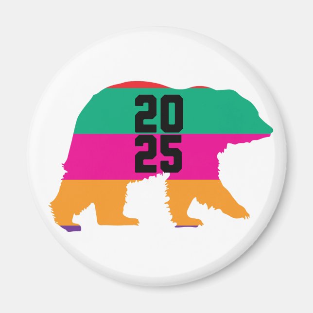 2025 Fet färglöst Linjer Magnet (Framsidan)