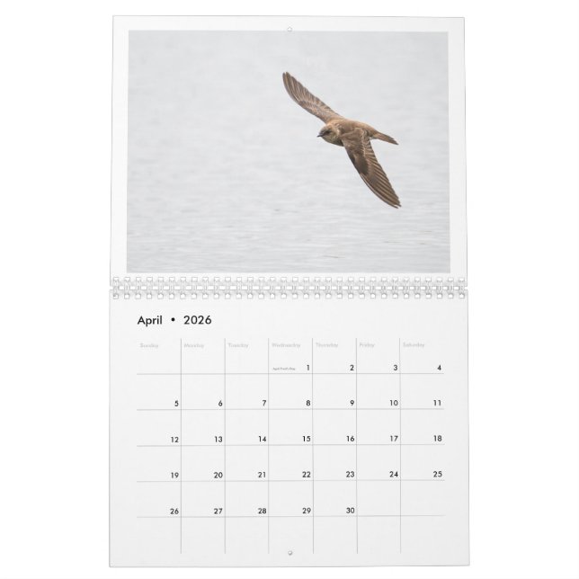 2025 - Fotokalender för vilda djur Kalender (Apr 2026)