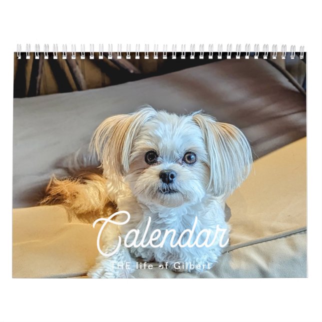 2025 Gilbert Calendar Kalender (Omslag)