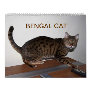 2025 Gorgous Bengal Cats Kalender