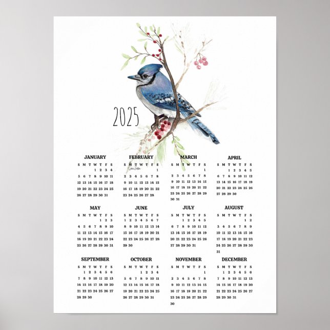 2025 Handsome Blue Jay Poster Calendar (Framsidan)