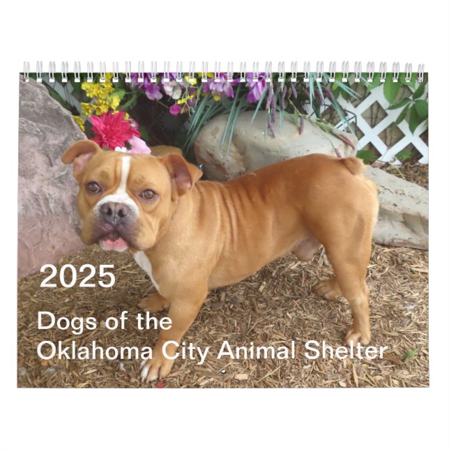 2025 Hundar av Oklahoma City Animal Shelter Kalender (Omslag)