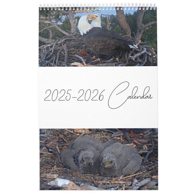 2025 Jackie & Shadow - Big Bear Eagles Calendar 2 Kalender (Omslag)