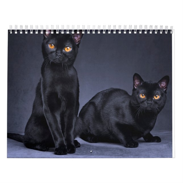 2025 KALENDER (Omslag)