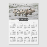 2025 Kalender Baby Svanar fotot Magnet