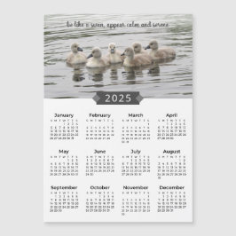 2025 Kalender Baby Svanar fotot Magnet