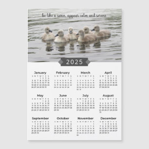 2025 Kalender Baby Svanar fotot Magnet