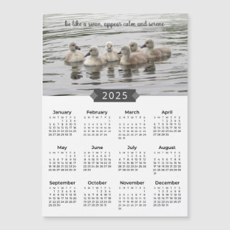 2025 Kalender Baby Svanar fotot Magnet