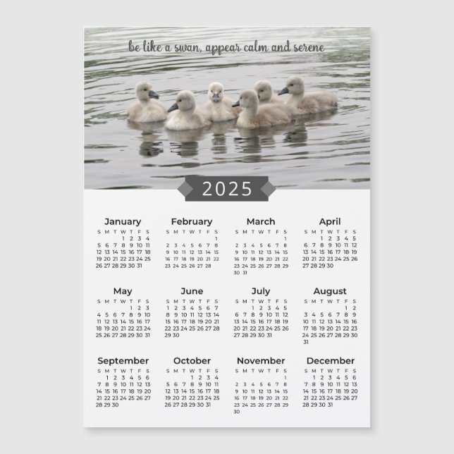 2025 Kalender Baby Svanar fotot Magnet (Framsida)