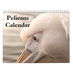 2025 Kalender för pelikaner