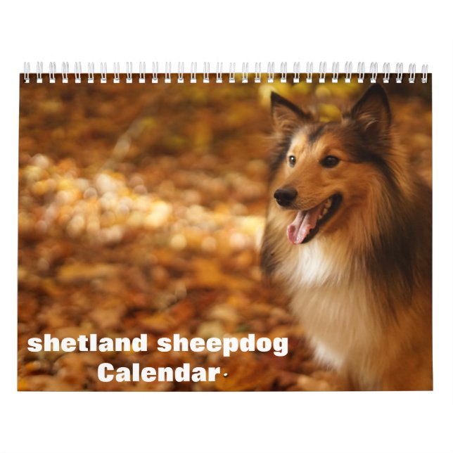 2025 Kalender för Shetland Sheepdog (Omslag)