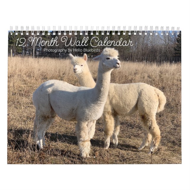 2025 Kalender - Hej Bluebirds Farm Photos (Omslag)
