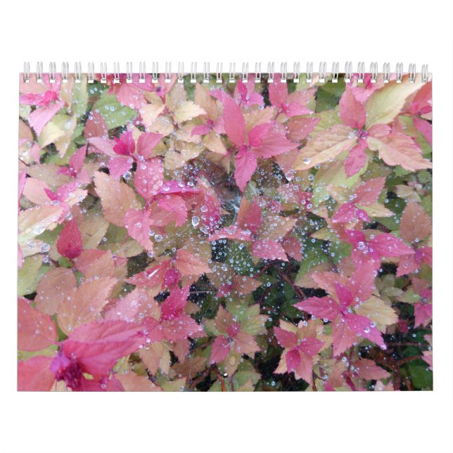 2025-kalender med naturfoton kalender (Omslag)