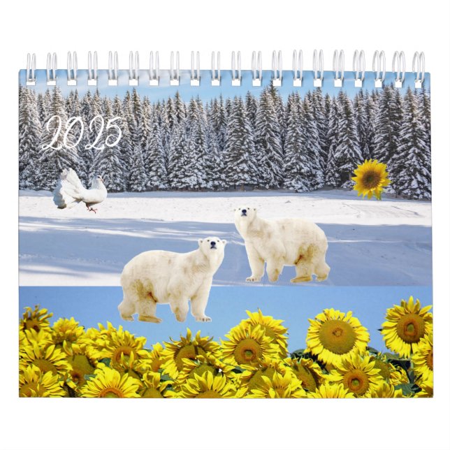 2025 Kalender - Polar (Omslag)