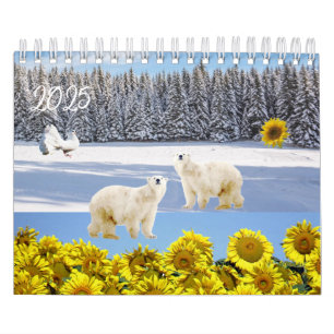 2025 Kalender - Polar