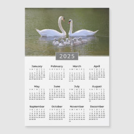 2025 Kalender Svan & Cygnet Magnet